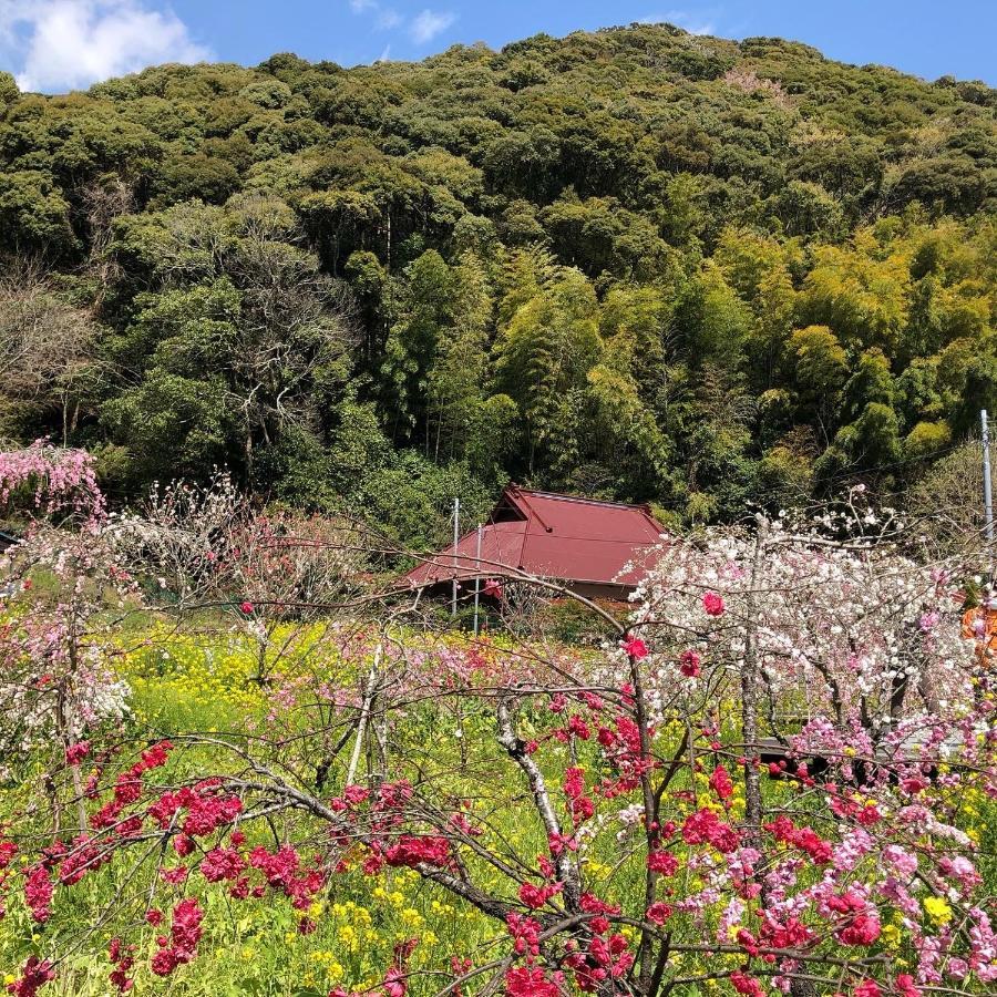 Toraya Attic Villa ชิโมดะ ภายนอก รูปภาพ